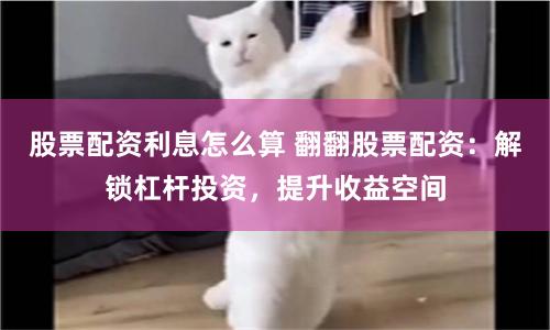 升红网配资